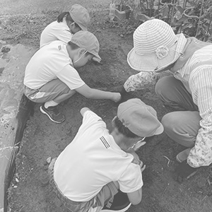 赤大豆苗植え